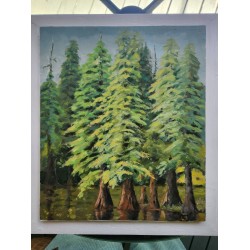 Bald Cypress by Roy Forster